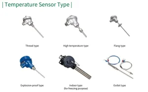 cảm biến nhiệt độ RTD/TC sensor type